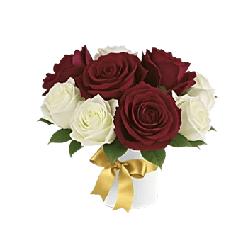 Crimson Rose Elegance