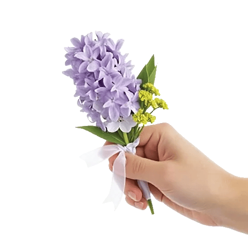 Minimalist White Orchids