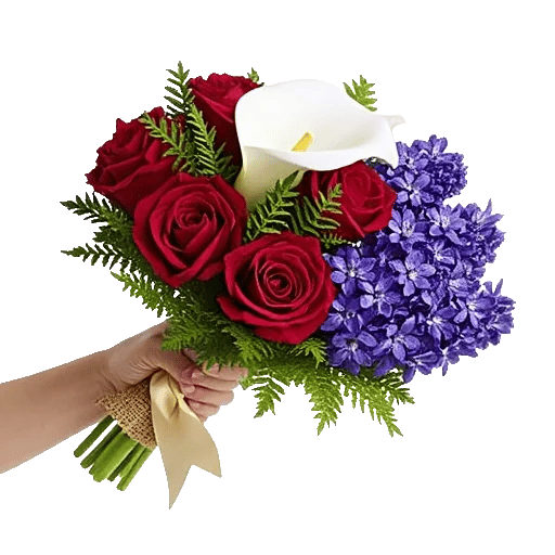 Elegant Calla Lilies