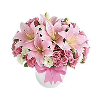 Graceful Lily Display