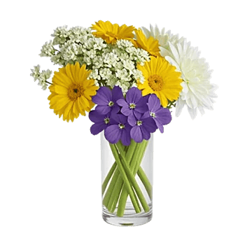 Velvet Tulip Display