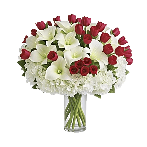 Elegant Calla Lilies