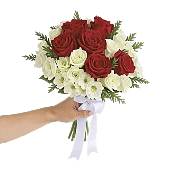 Crimson Rose Elegance
