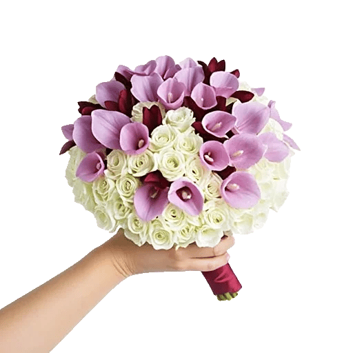 Blushing Rose Symphony