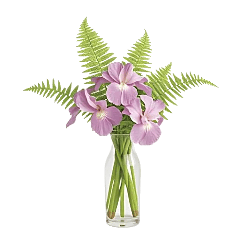 Ivory Blossom Radiance