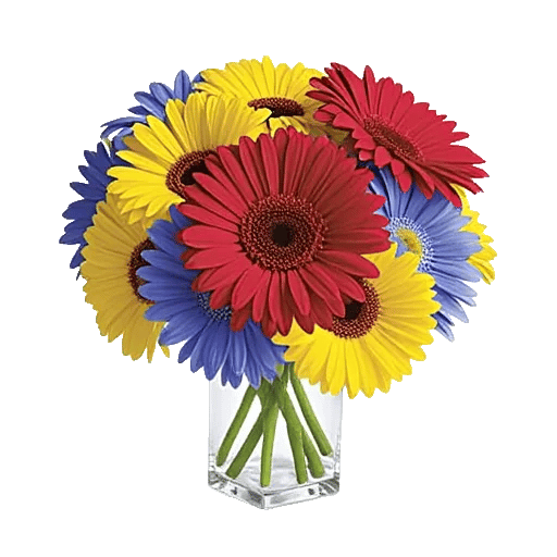 Petal Radiance Bliss