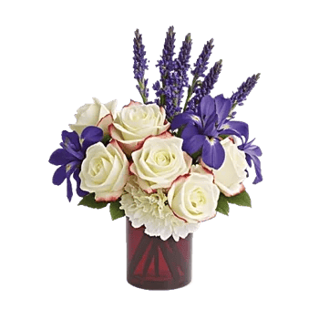 Ivory Blossom Radiance