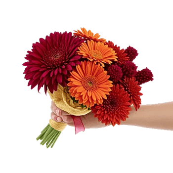 Crimson Blossom Harmony