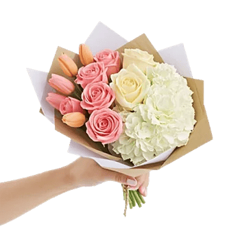 Petal Grace Harmony