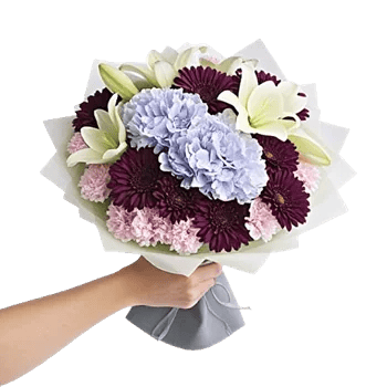 Serene Petal Harmony