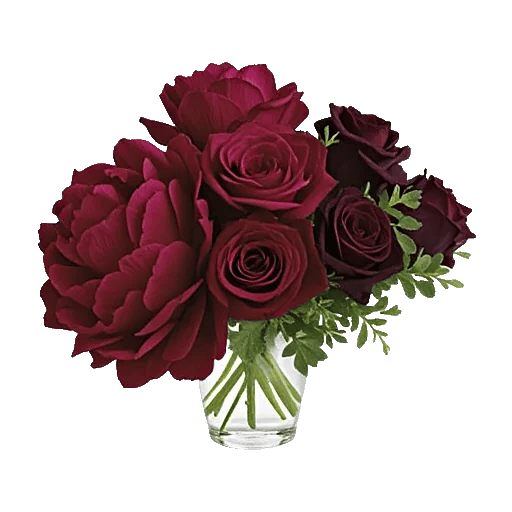 Petal Radiance Bliss