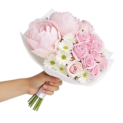 Peony Petal Harmony