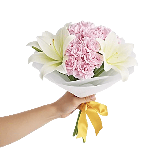 Pastel Pink Roses