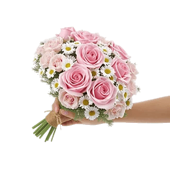 Blushing Rose Symphony