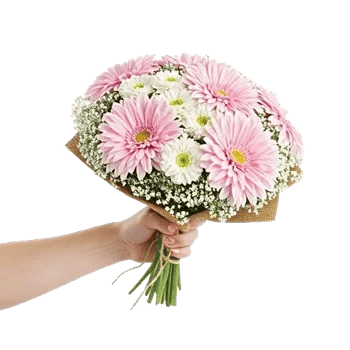 Blossom Petal Serenity