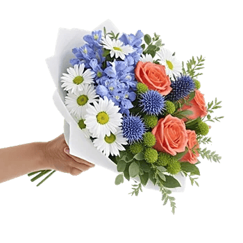 Blossom Petal Serenity