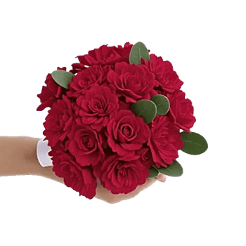 Crimson Rose Elegance