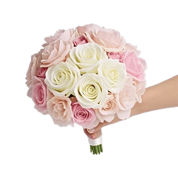 Blushing Rose Symphony