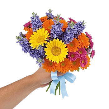 Daisy Meadow Spread