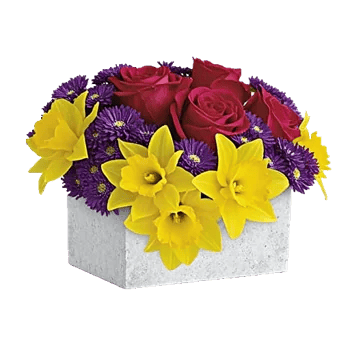 Petal Radiance Bliss