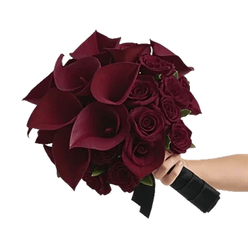 Elegant Calla Lilies