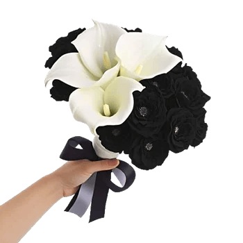 Elegant Calla Lilies