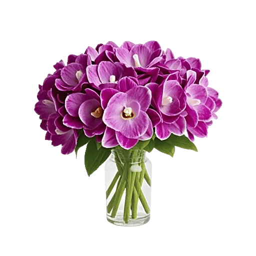 Orchid Bloom Cascade