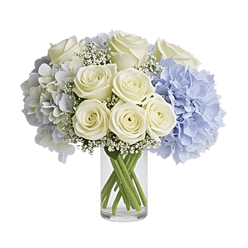 Serene Petal Harmony