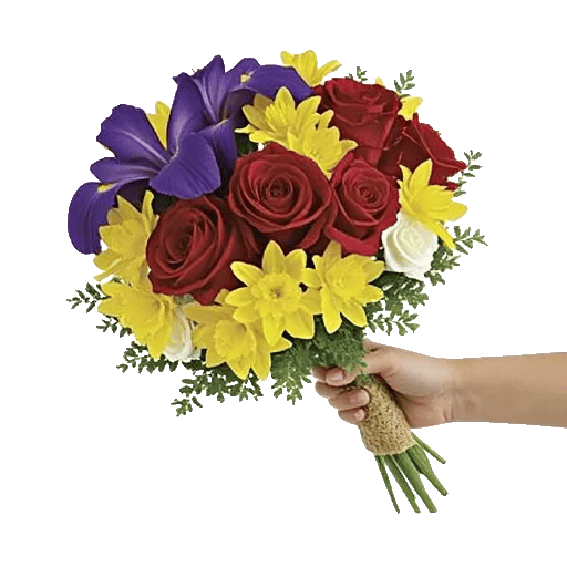 Ivory Blossom Radiance