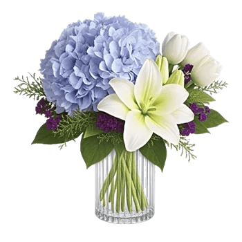 Azure Sky Blooms
