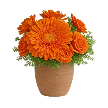 Petal Radiance Bliss