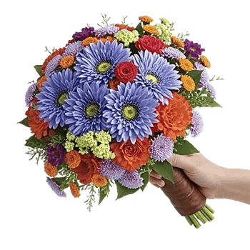 Blossom Petal Serenity