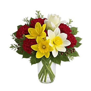 Petal Radiance Bliss