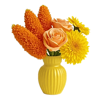 Petal Radiance Bliss