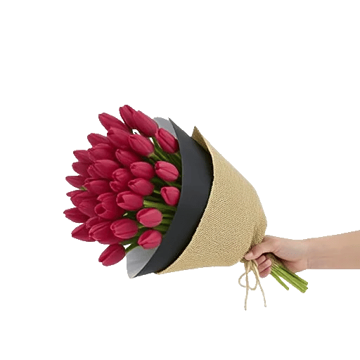 Scarlet Tulip Splendor