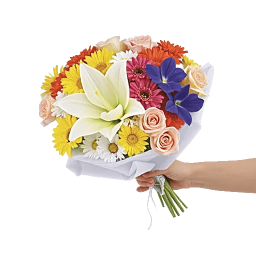 Blossom Harmony Display