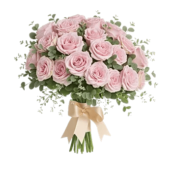 Pastel Pink Roses