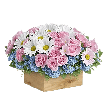 Petal Harmony Bliss