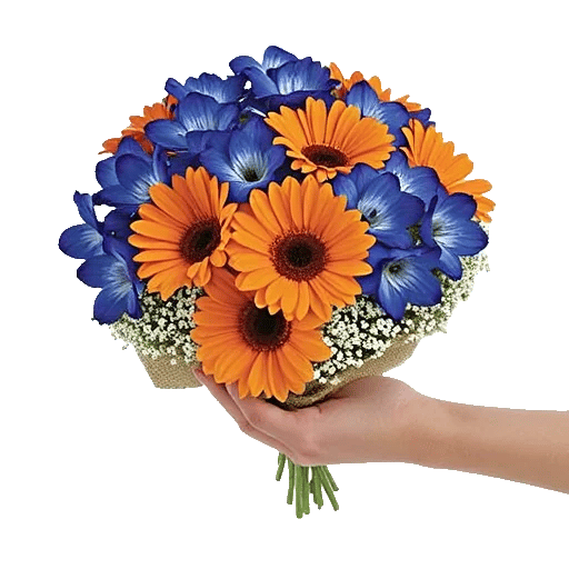 Serenity Blossom Grace