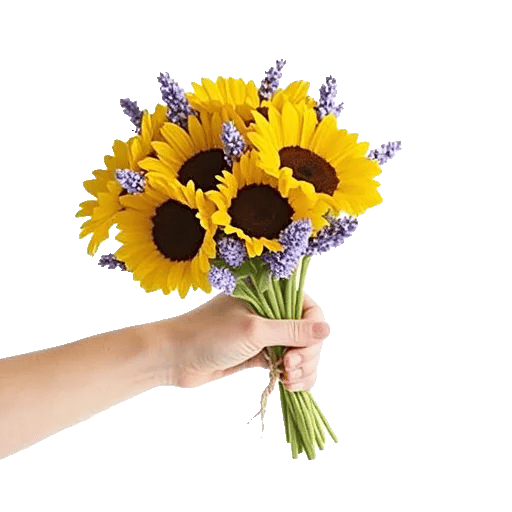 Twinkling Sunflower Dance