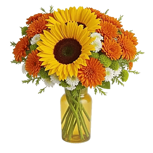 Radiant Bloom Cascade