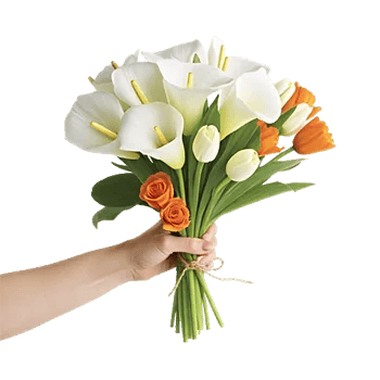 Elegant Calla Lilies