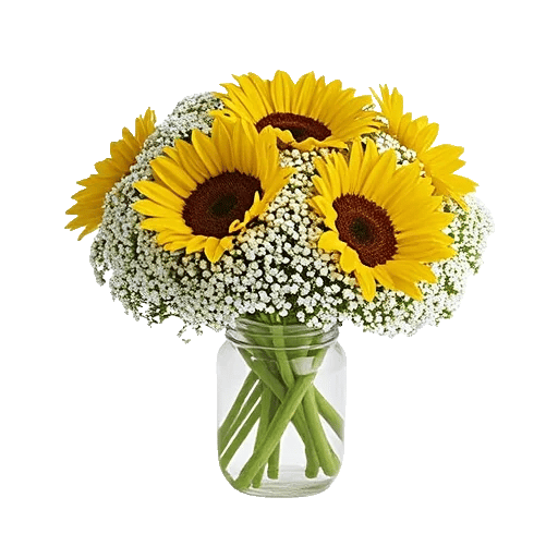 Ivory Blossom Radiance