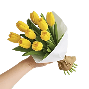 Tulip Rose Mix
