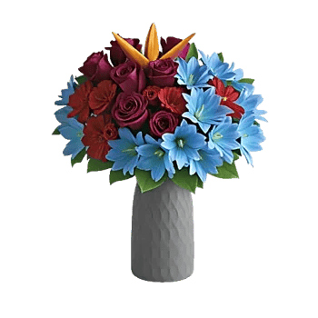 Petal Radiance Bliss