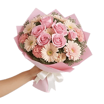 Blushing Rose Symphony