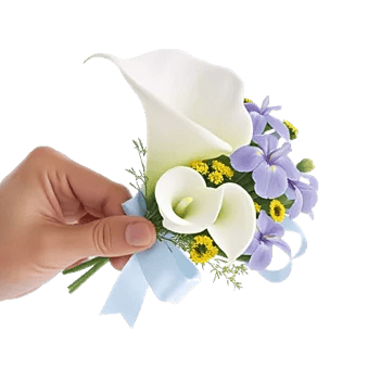 Elegant Calla Lilies