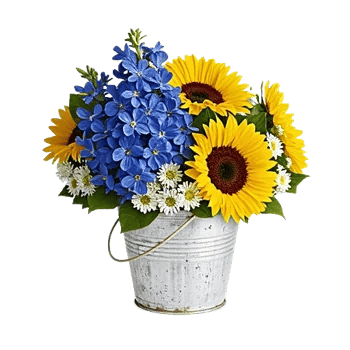 Blossom Petal Serenity