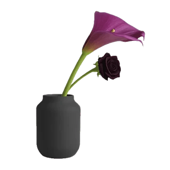 Elegant Calla Lilies