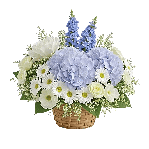 Serene Petal Harmony